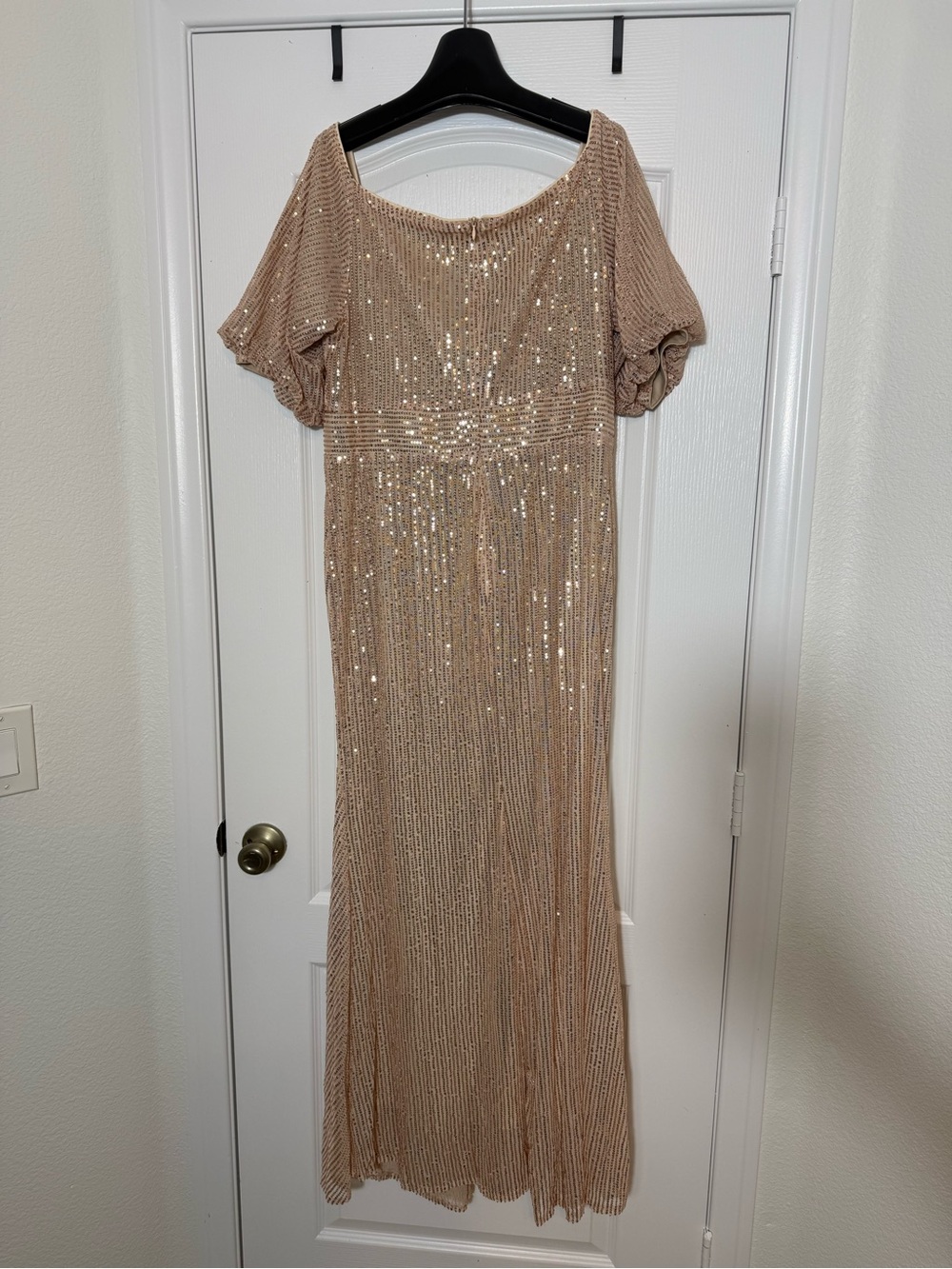Sequin Maxi Dress in Blush Champagne 1X - Picture 6 of 6